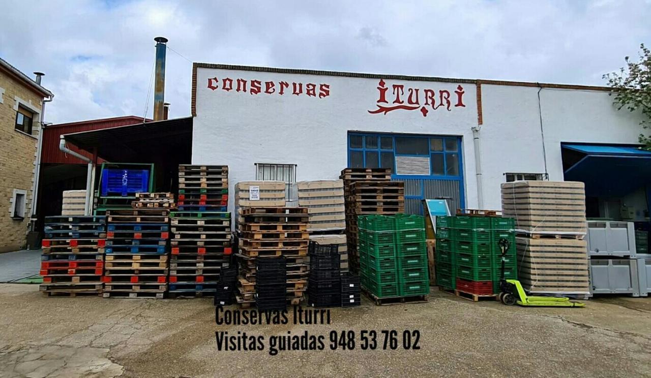Greta Etxea Villa Arroniz Exterior foto